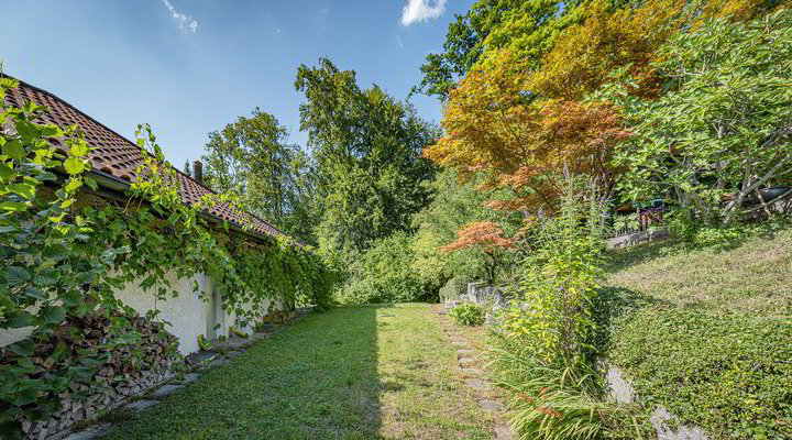 BAULANDCHANCE IN FELDMEILEN - Ansicht 5