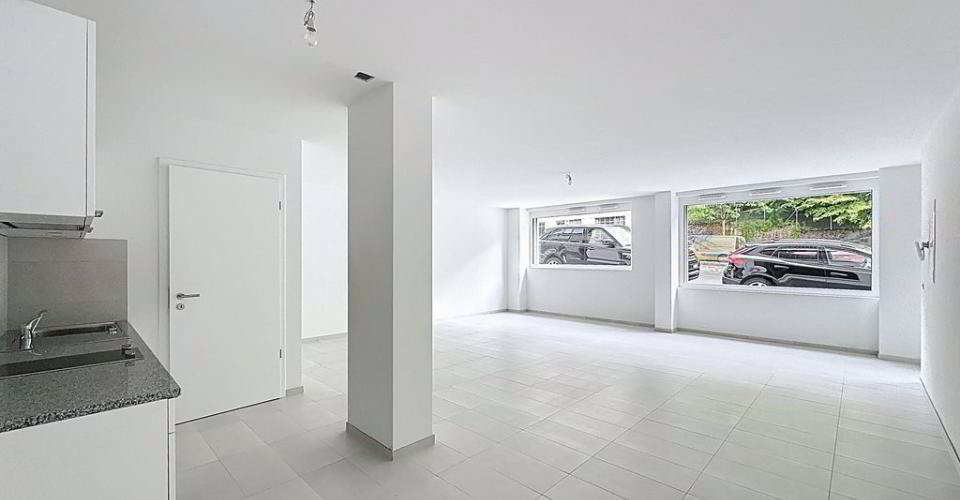 null rooms Office & Commercial for rent in Lausanne - image 1/10