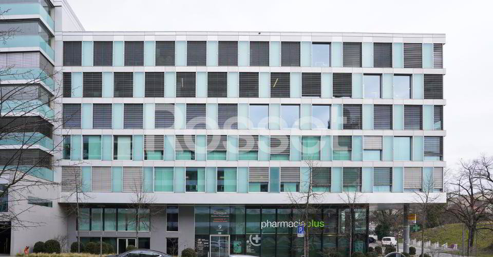 Ufficio & Commercio di null locali in affitto a Nyon - immagine 1/4