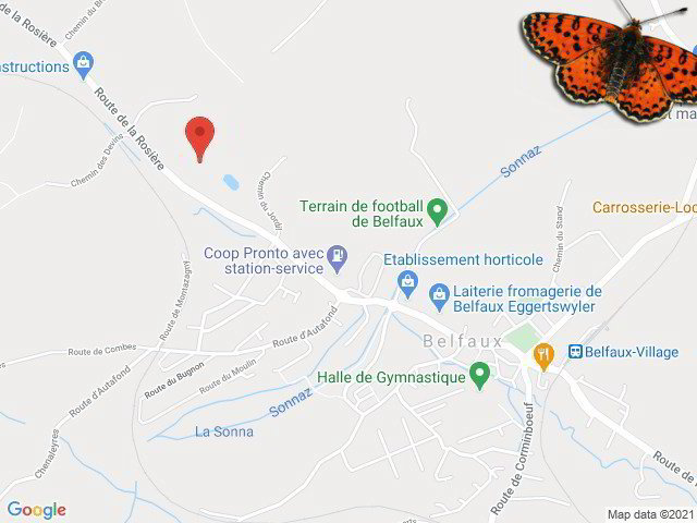 Appartamento di 1 locali in affitto a Belfaux - immagine 1/7