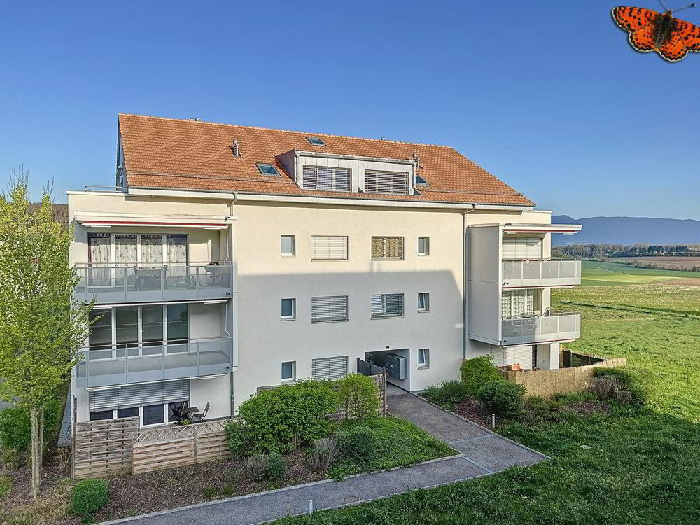 Appartement 3 pièces à louer à Montet (Broye) - image 1/11