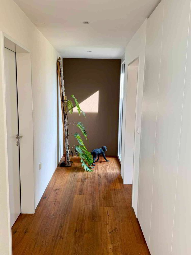 6.5 rooms House to buy in Wattwil - image 1/13