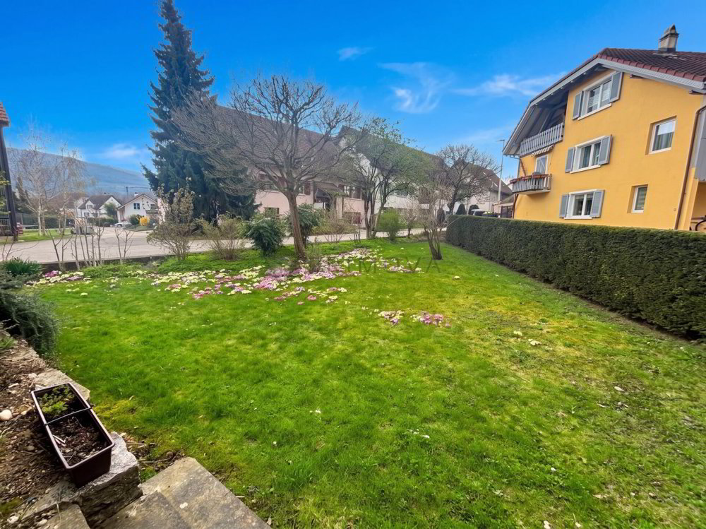 3.5 rooms Apartment to buy in Wallbach - image 1/8