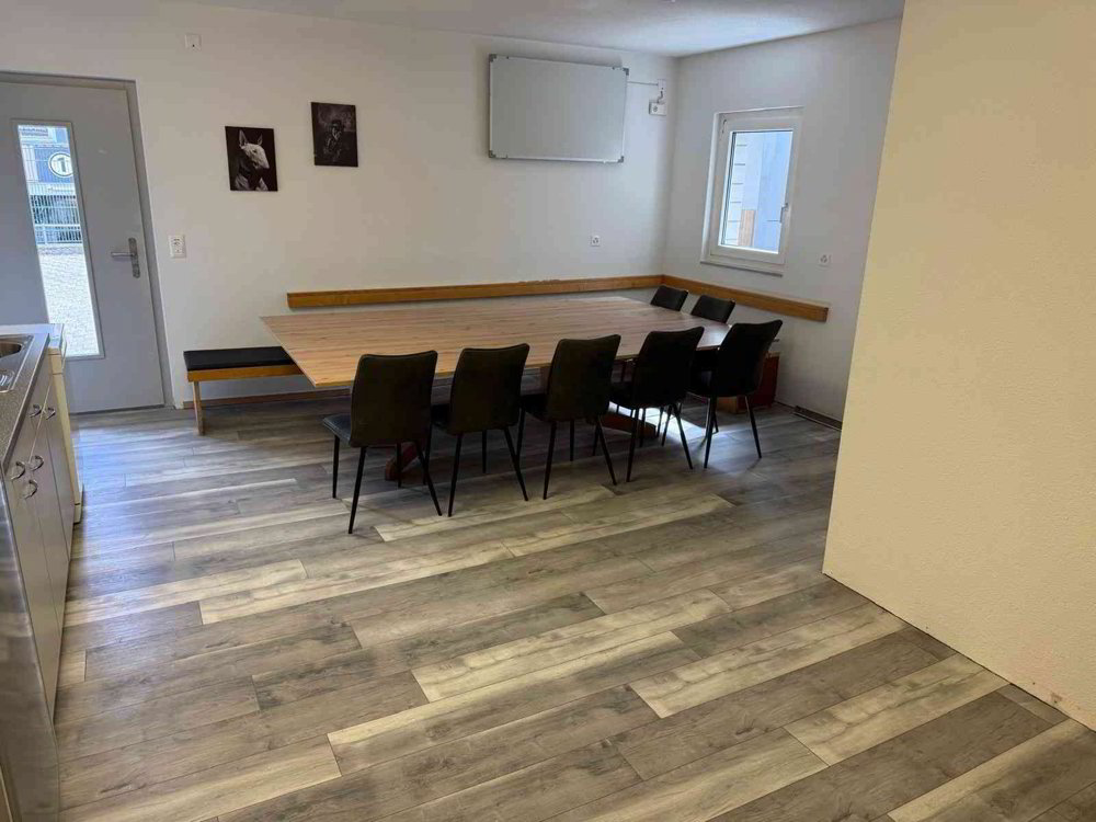 Gewerbeobjekt mit diversen Möglichkeiten - Ansicht 4