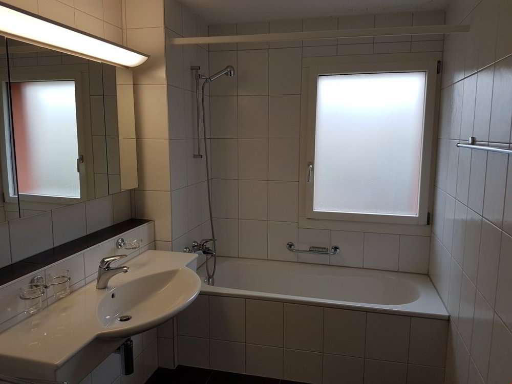 Appartement 4.5 pièces à louer à Heitenried - image 1/16