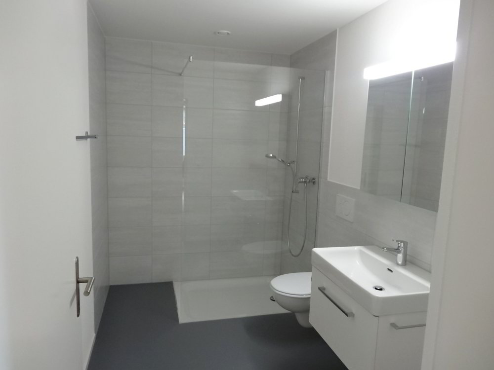 Appartement 3.5 pièces à louer à Schaffhouse - image 1/4