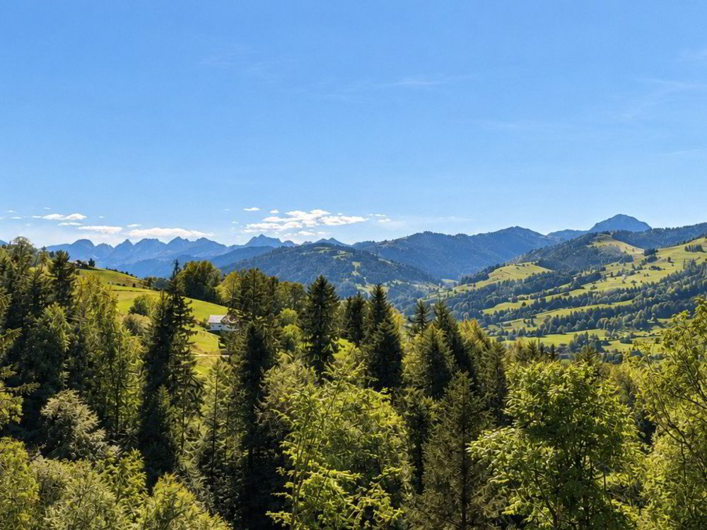 6.5 Zimmer Haus zu vermieten in Wattwil - Bild 1/9