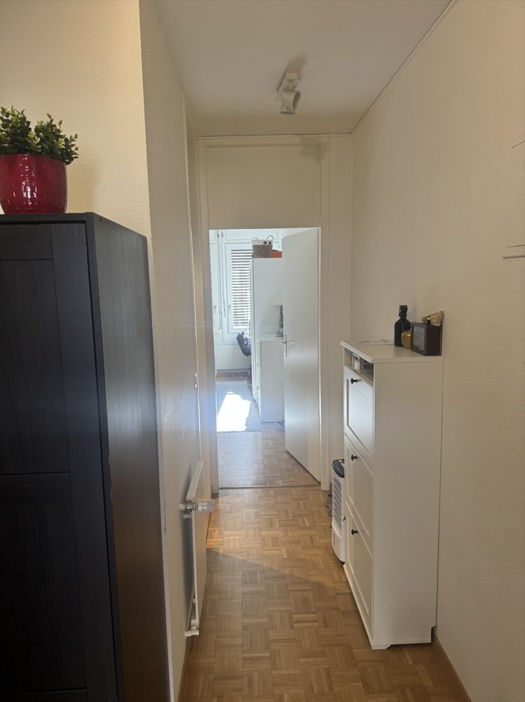 3 Zimmer Wohnung zu vermieten in Genf - Bild 1/5