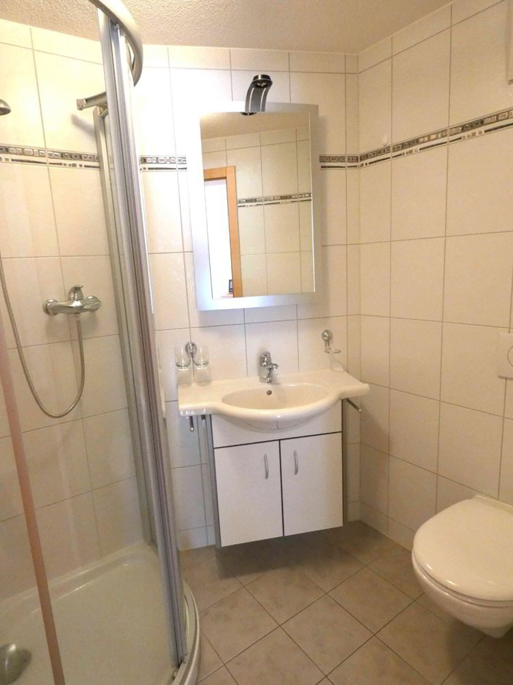 5.5 rooms Apartment for rent in Saas-Grund - image 1/5