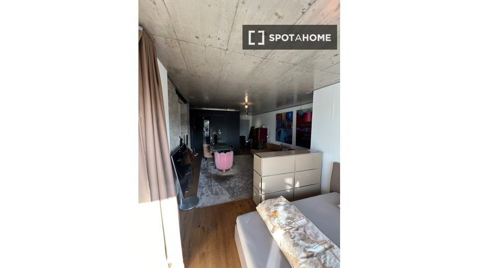 Appartamento di null locali in affitto a Zurich - immagine 1/10