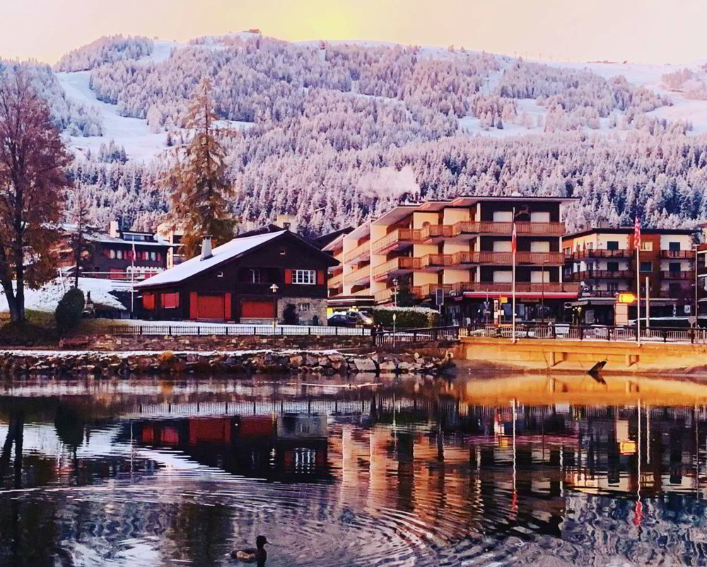 null rooms Office & Commercial to buy in Crans-Montana - image 1/2