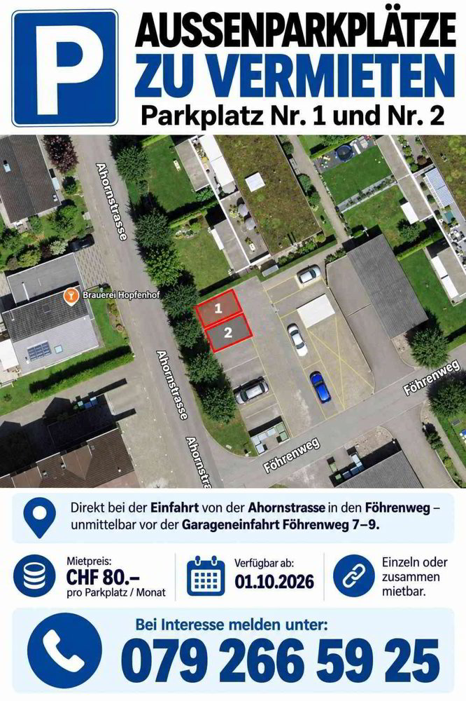 null Zimmer Parkplatz, Garage zu vermieten in Dintikon - Bild 1/1