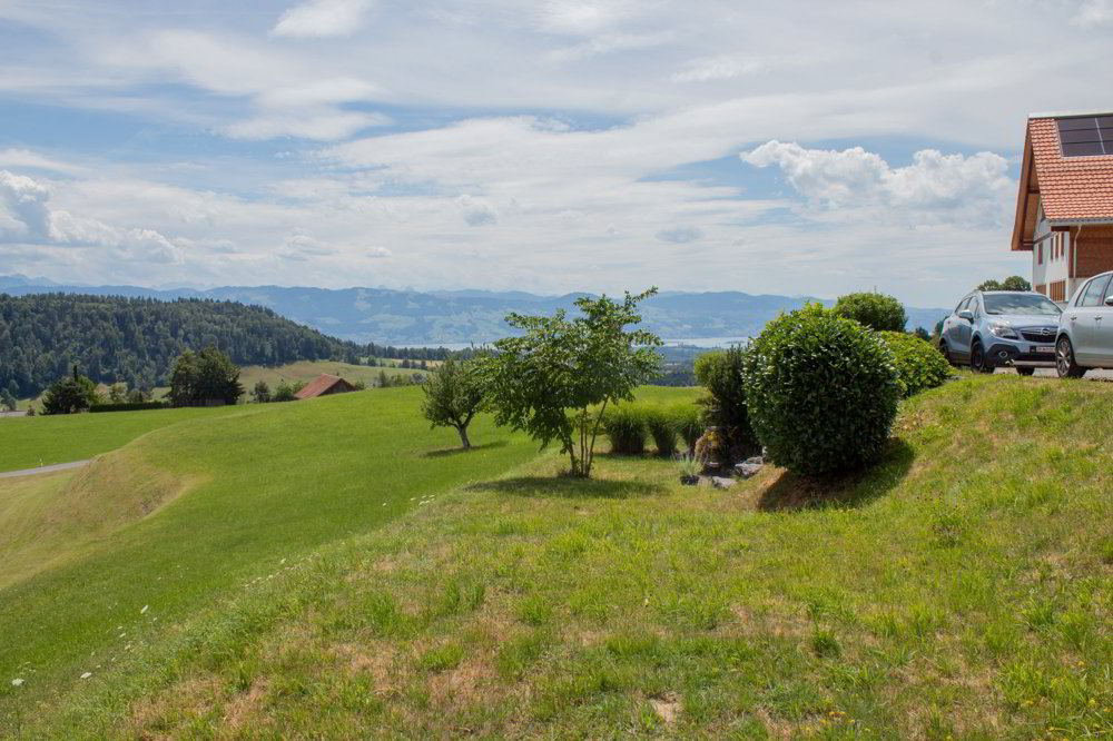 Haus – Wald ZH