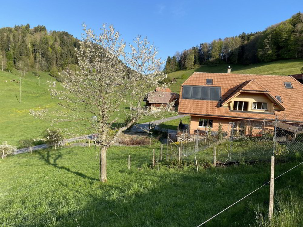 Appartamento di 2 locali in affitto a Wattenwil - immagine 1/10