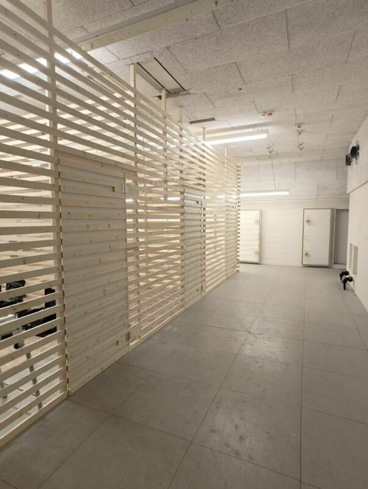 Entrepôt en location à Frauenfeld - 31 m² - Ansicht 3