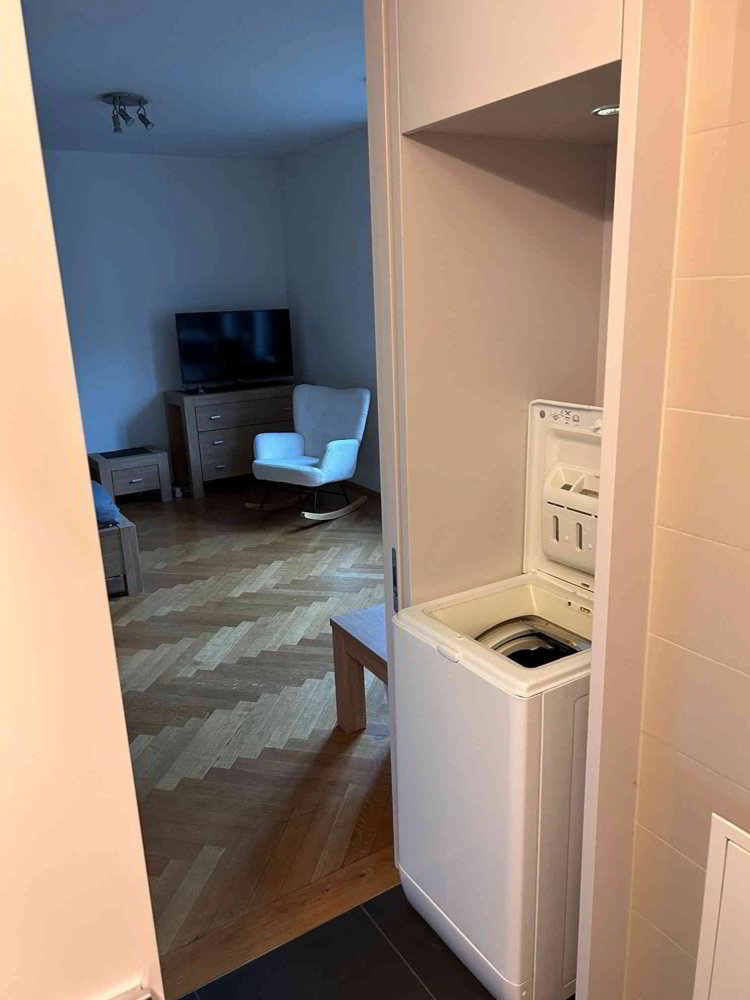 1.5 rooms Apartment for rent in Zürich - image 1/9