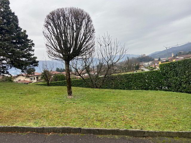 TERRENO EDIFICABILE DI 705 MQ IN ZONA MONTALBANO A STABIO - Ansicht 5