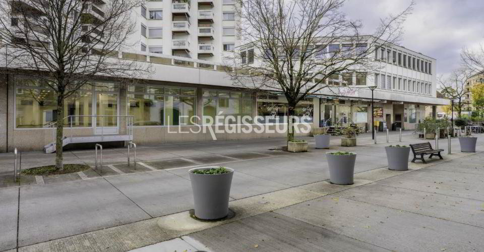 null rooms Office & Commercial for rent in Chêne-Bourg - image 1/13