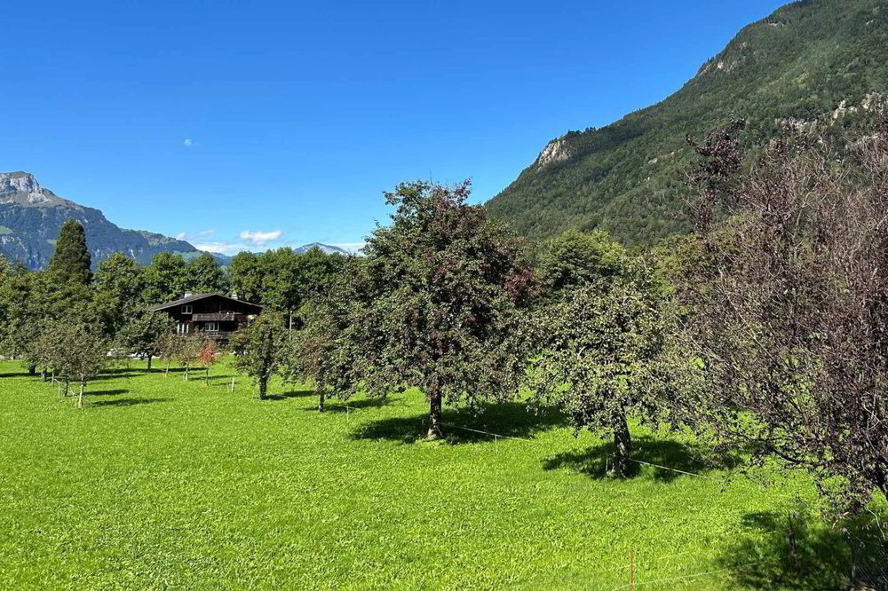 Wohnung – Altdorf UR - Ansicht 4