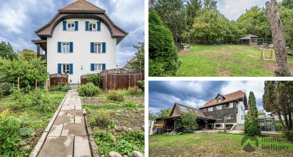 Maison 8 pièces à acheter à Roggwil BE - image 1/13