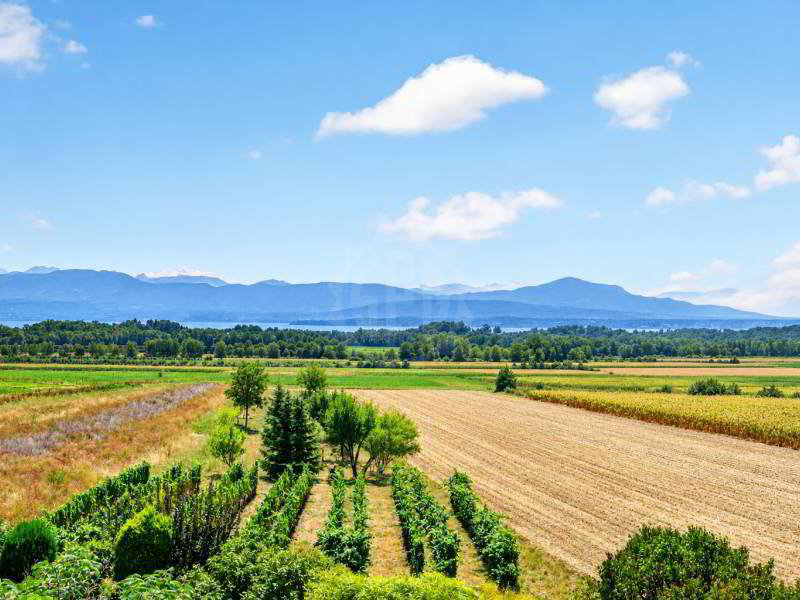 Appartamento di 5 locali in vendita a Gland - immagine 1/1