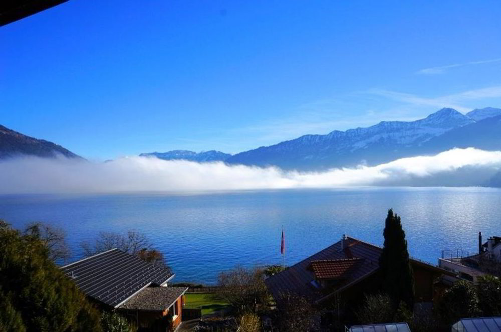 Maison 4.5 pièces à louer à Faulensee - image 1/23