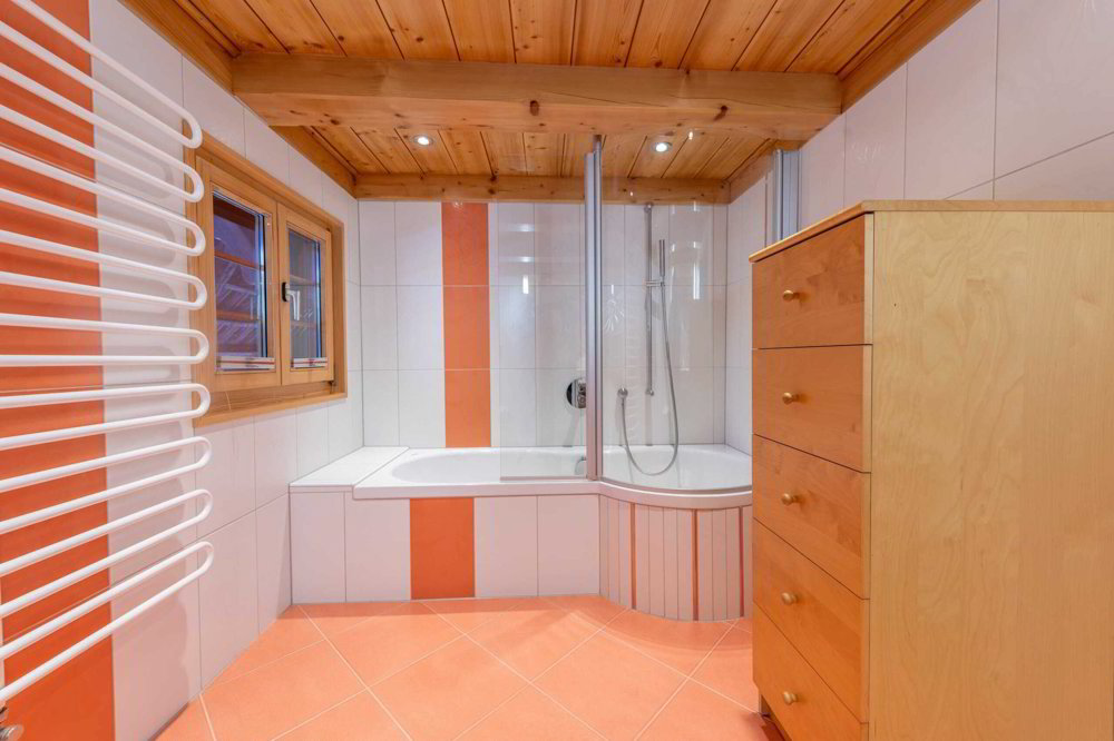 5.5 rooms Office & Commercial to buy in Madiswil - image 1/13