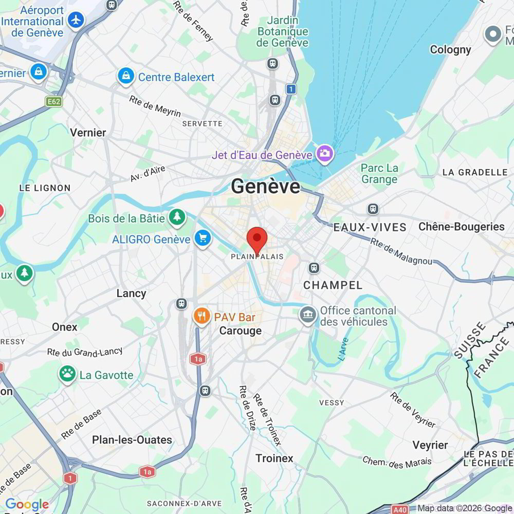 Appartamento di 4.5 locali in affitto a Ginevra - immagine 1/9