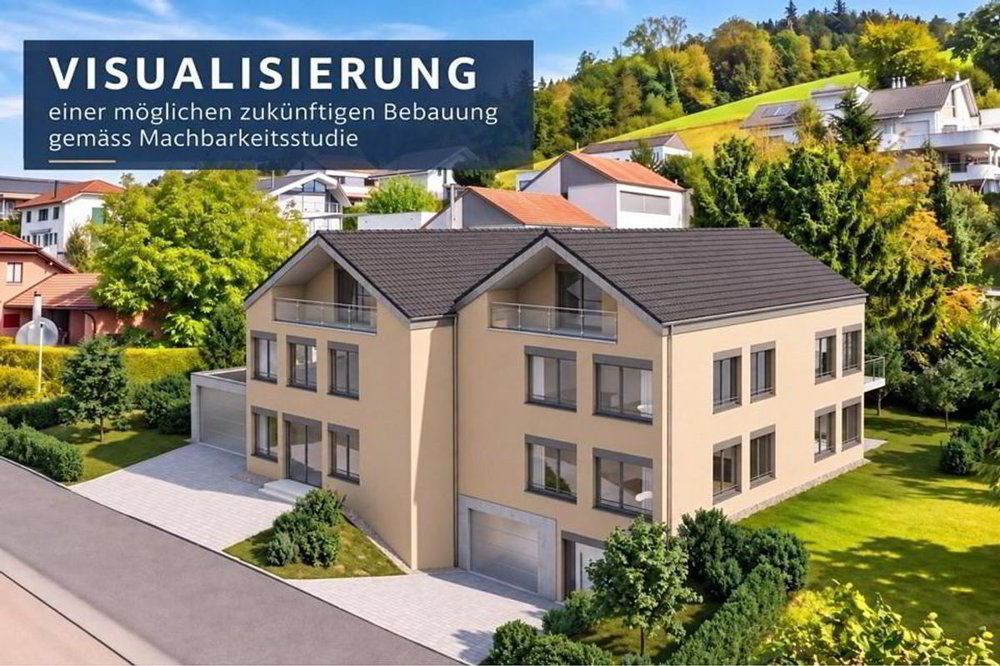 Haus – Honau - Ansicht 2