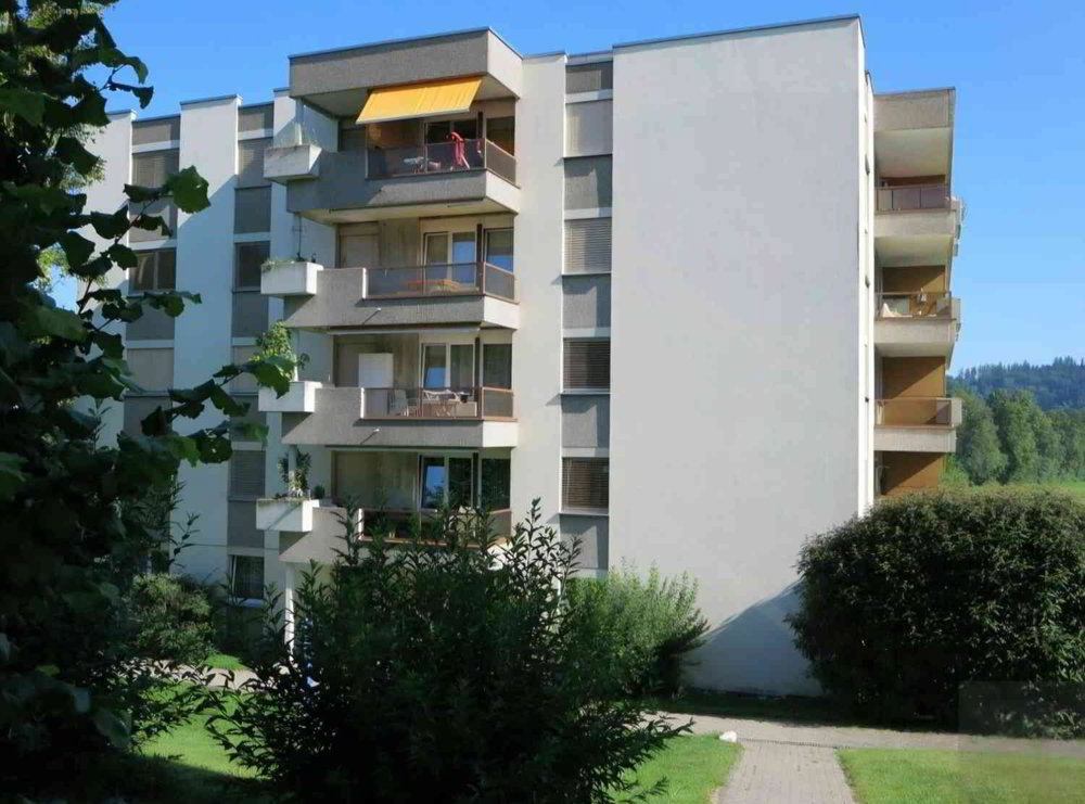 Appartamento di 2.5 locali in affitto a Niederuzwil - immagine 1/10