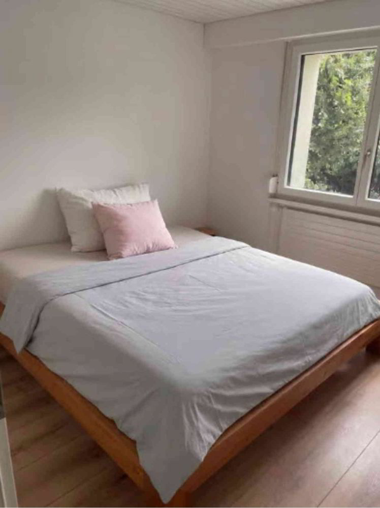 Appartement 3.5 pièces à louer à Sins - image 1/10