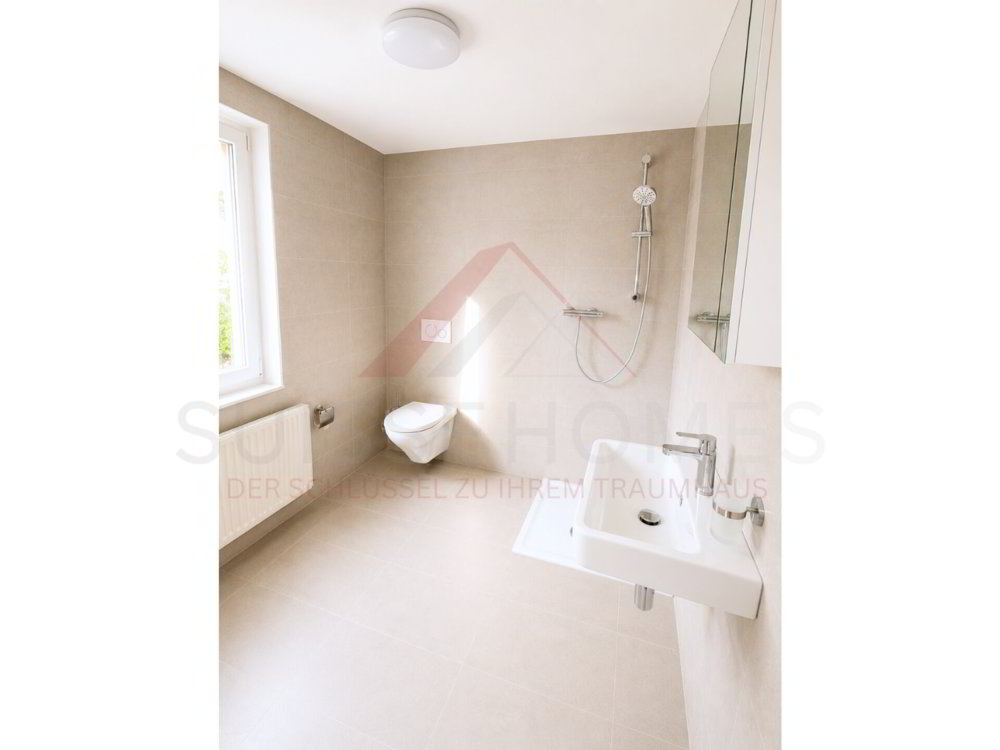 Appartement 1.5 pièces à louer à Flumenthal - image 1/4