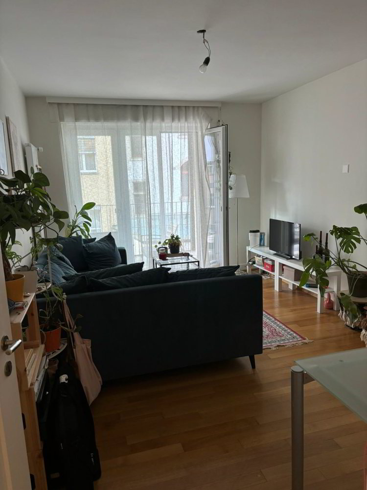 Appartement 2 pièces à louer à Schaffhouse - image 1/8
