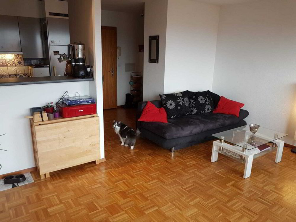 Wohnung – Tolochenaz - Ansicht 5