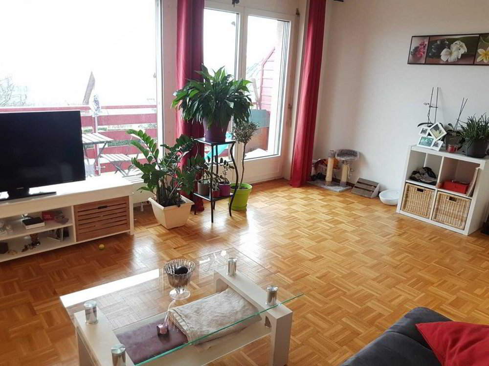 2 rooms Apartment for rent in Tolochenaz - image 1/6
