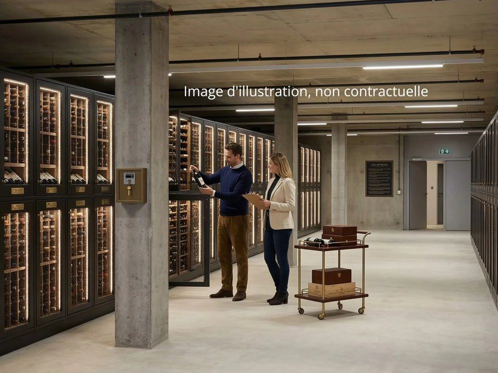 VERSOIX - Surface de Stockage Moderne d'env. 387 m² A LOUER - Ansicht 5