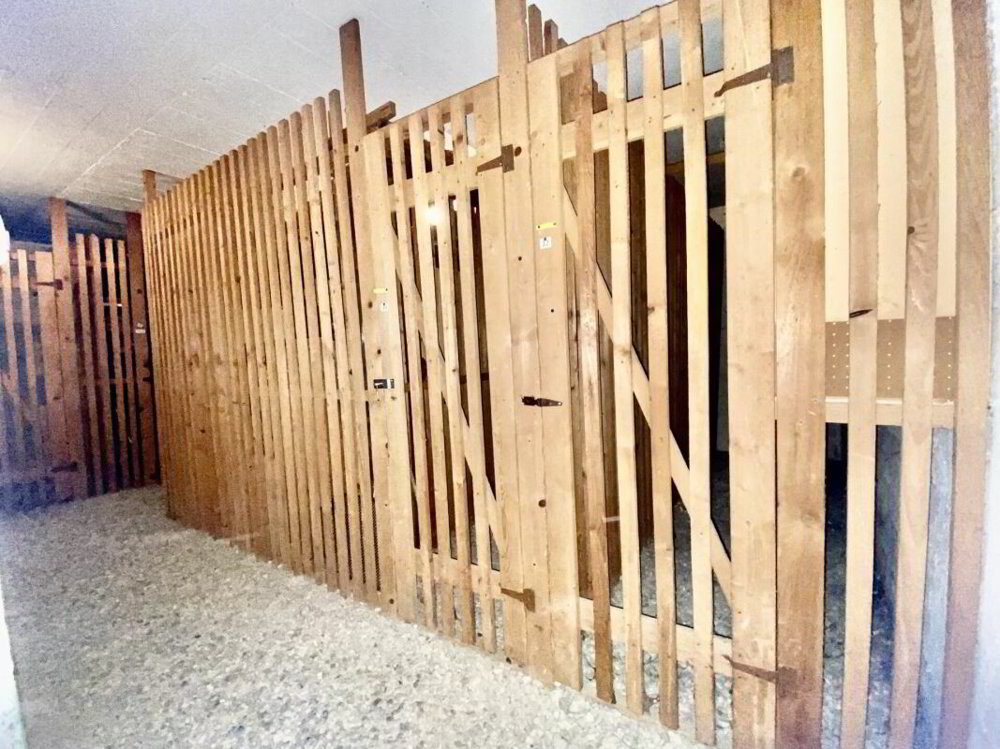 3 Zimmer Wohnung zu vermieten in Balerna - Bild 1/13