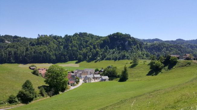 Appartamento di 3 locali in affitto a Krauchthal - immagine 1/1