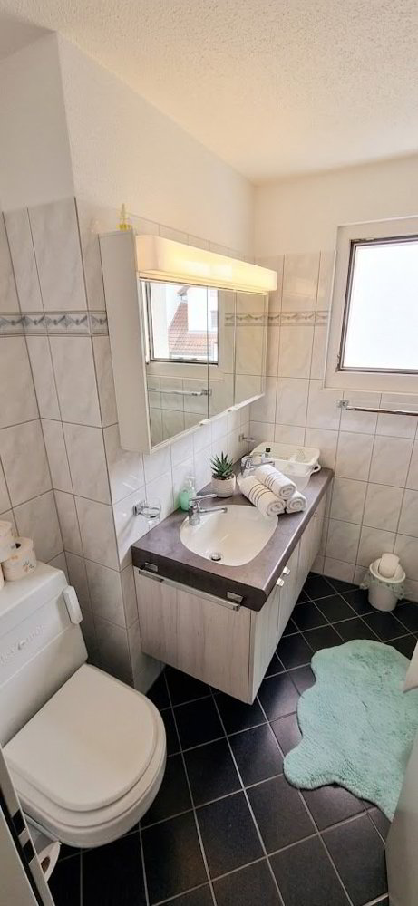 Wohnung – Langwiesen - Ansicht 2