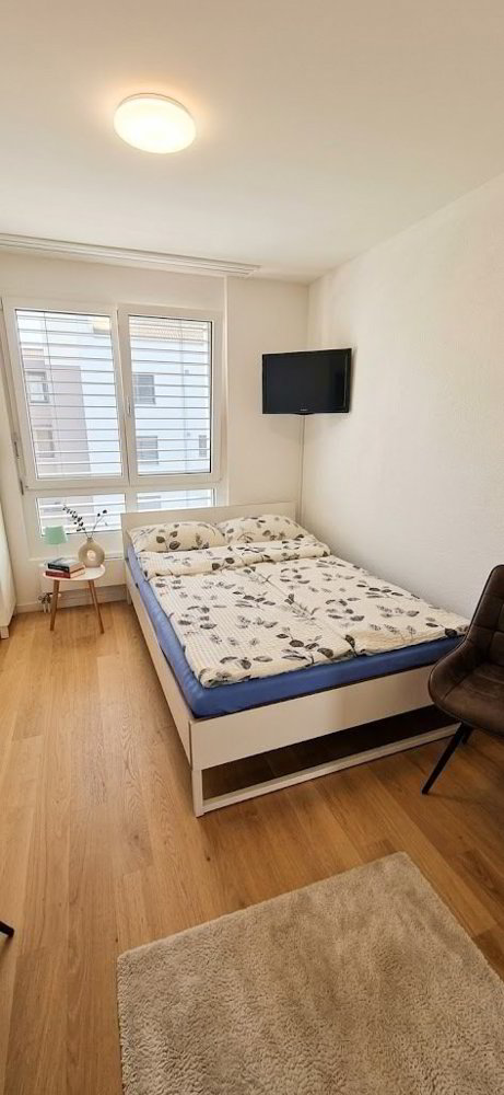 Appartamento di 1 locali in affitto a Langwiesen - immagine 1/3