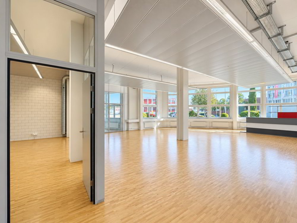 179 m² Büro- oder Gewerbefläche im EG in Hünenberg! - Ansicht 5
