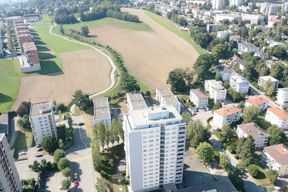 Appartamento di 3 locali in affitto a Friburgo - immagine 1/6