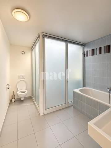 Appartement 6 pièces à louer à Versoix - image 1/13