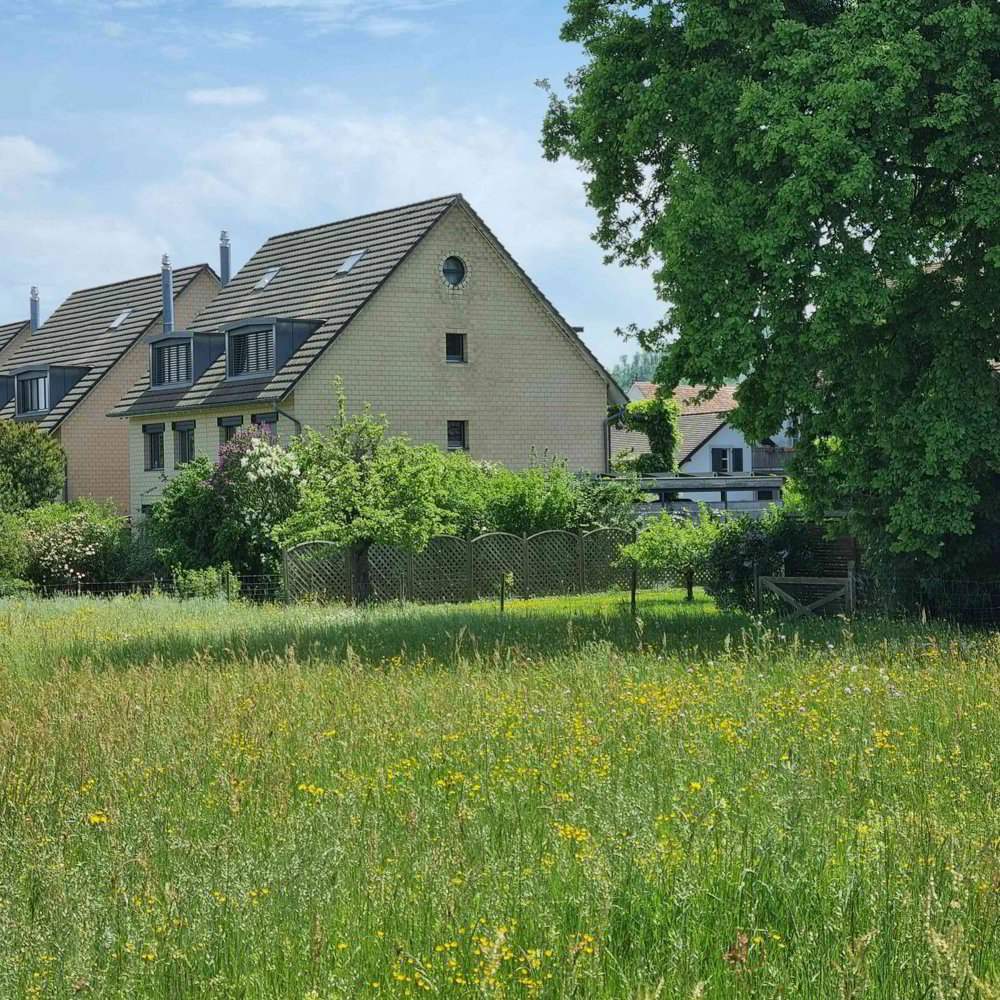 Haus – Bättwil
