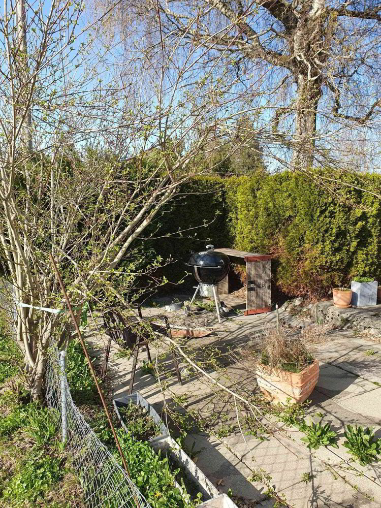 Wohnung – Walzenhausen - Ansicht 5