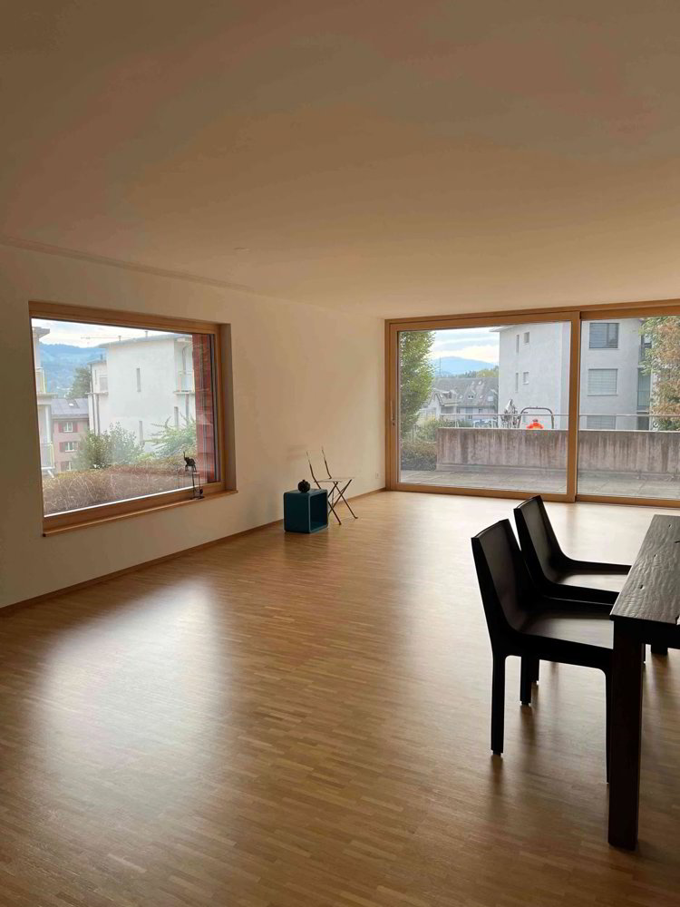 2.5 rooms Office & Commercial for rent in Wetzikon ZH - image 1/13