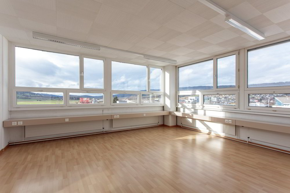Stolze Gewerbeliegenschaft in Dällikon - Ansicht 2