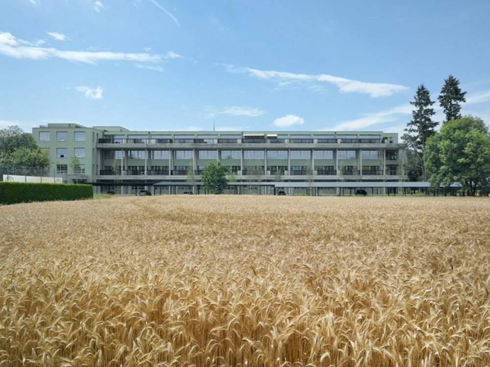 Wohnung – Dulliken - Ansicht 4