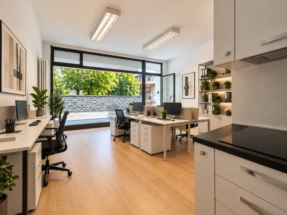 LUGANO VILLA SASSA - VETRINA COMMERCIALE CON POSTI AUTO - Ansicht 4