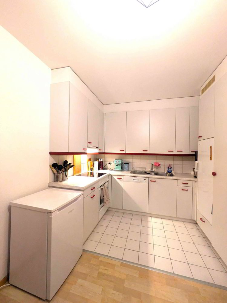Wohnung – Zürich - Mehr